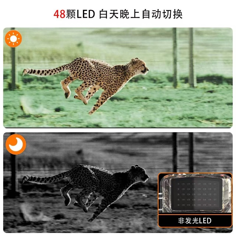 HOT SALE DL001 Hunting Camera  - Outdoor Hunting Videos recension och pris