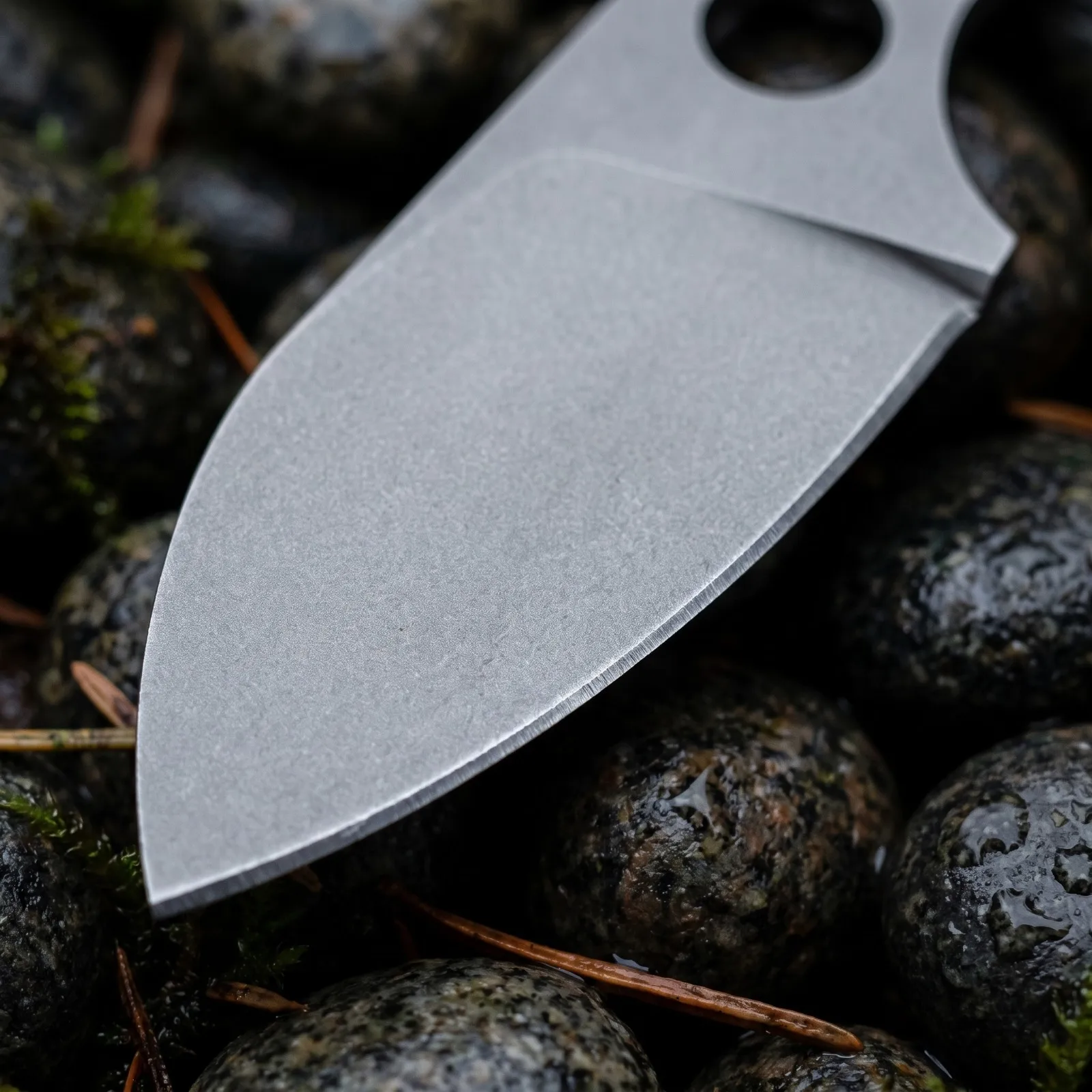 Full-Tang Stainless Steel EDC  - Knife Hunting Fixed Blade recension och pris
